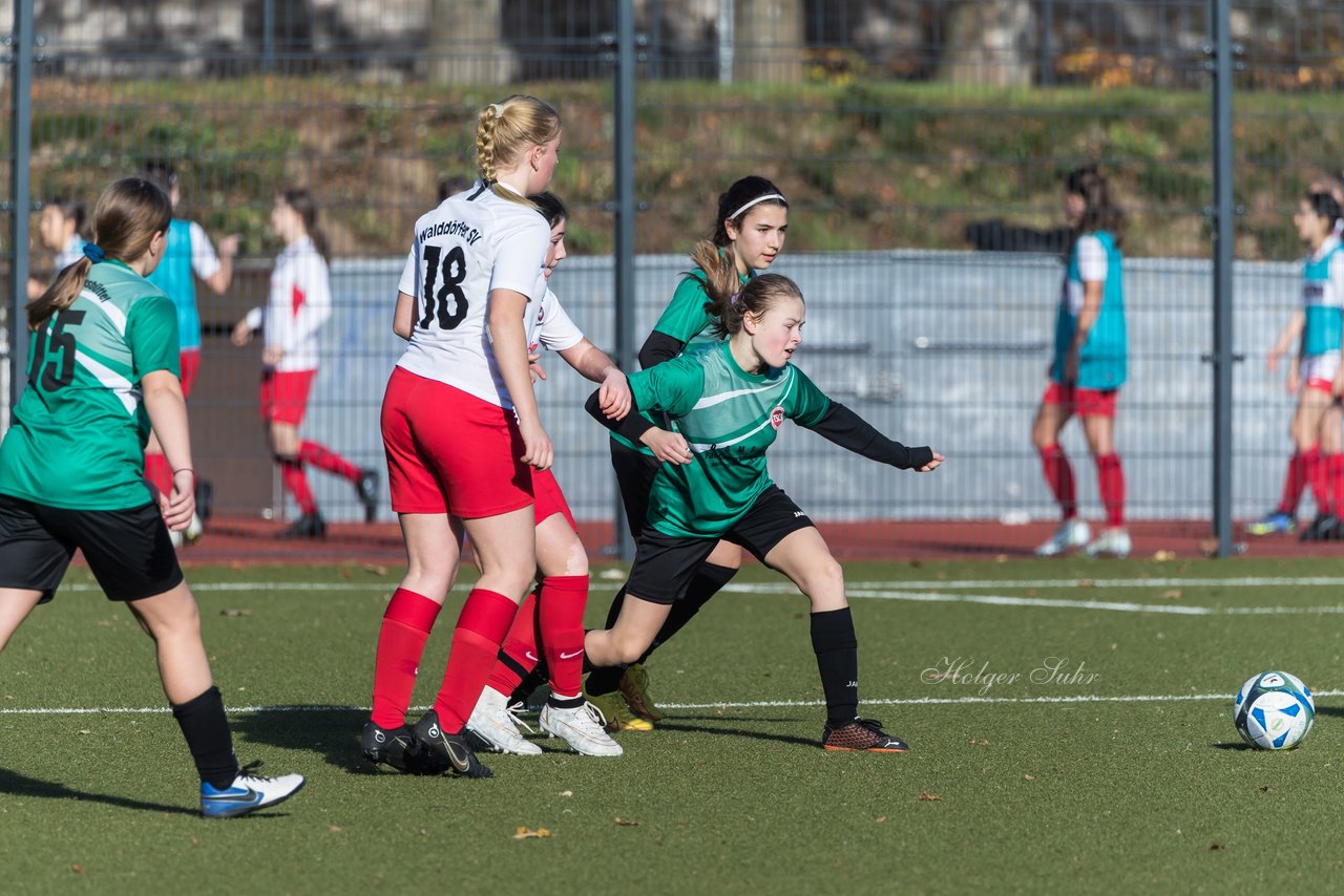 Bild 326 - wCJ Walddoerfer - Wellingsbuettel 3 : Ergebnis: 4:1